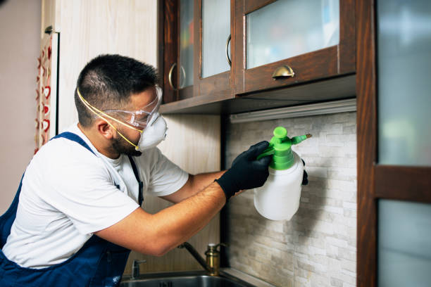 Best Pest Prevention Services  in Thayer, MO