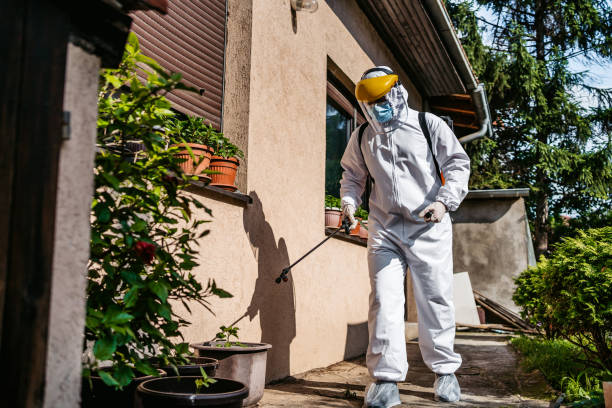 Best Mosquito Control Services  in Thayer, MO