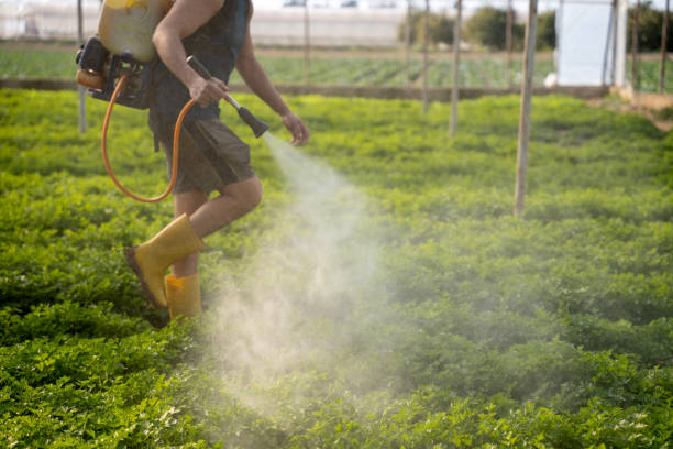 Best Affordable Pest Control Services  in Thayer, MO
