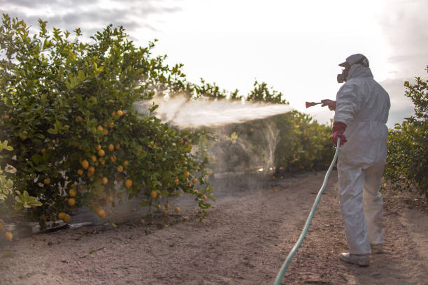 Best Emergency Pest Control  in Thayer, MO