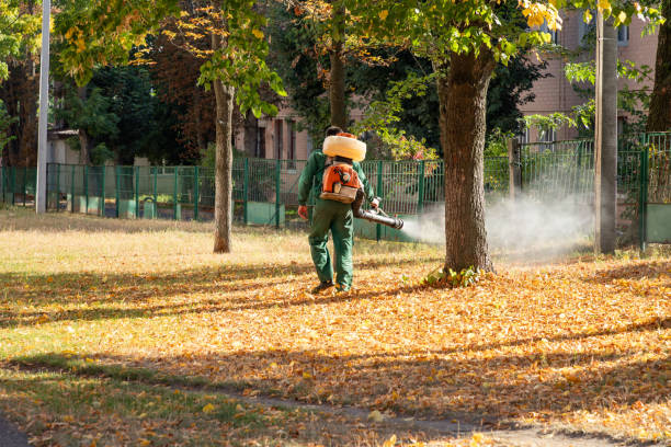 Best Exterminator Services  in Thayer, MO