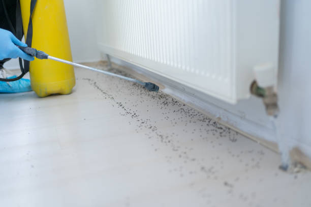 Best Commercial Pest Control Services  in Thayer, MO