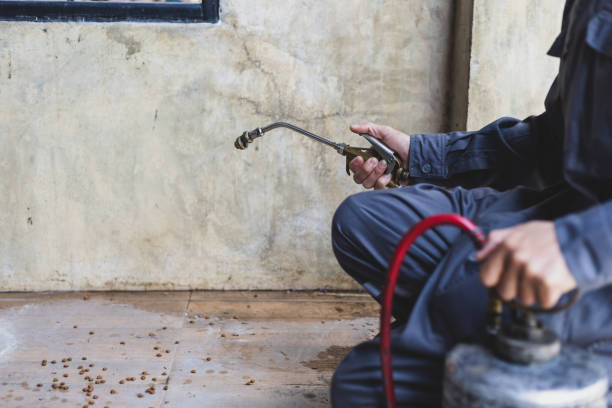 Best Local Pest Control Services  in Thayer, MO