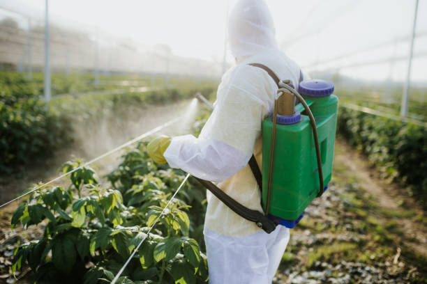 Thayer, MO Pest Control Company